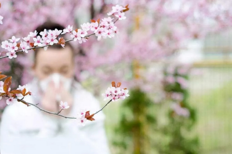 春天是过敏性疾病的高发时节，我们该如何应对？