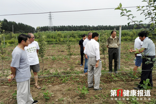 社科院项目组联合发布生态农业立法建议书