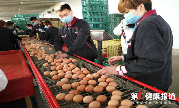 人口宣教中心组织媒体河北赵县考察食品安全