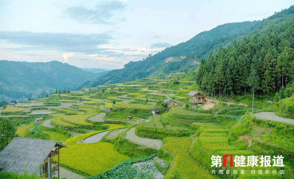 贵州梯田.jpg