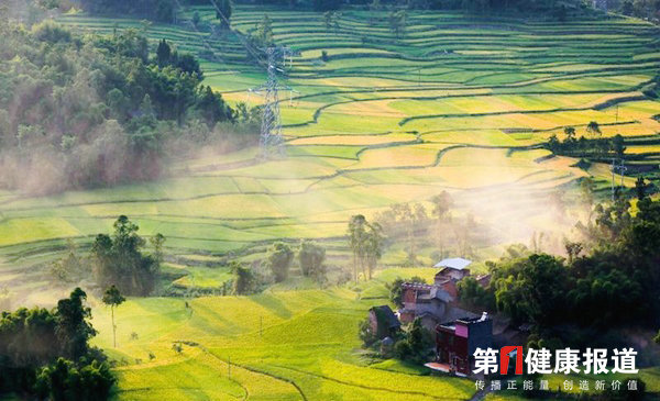 美丽乡村2.jpg