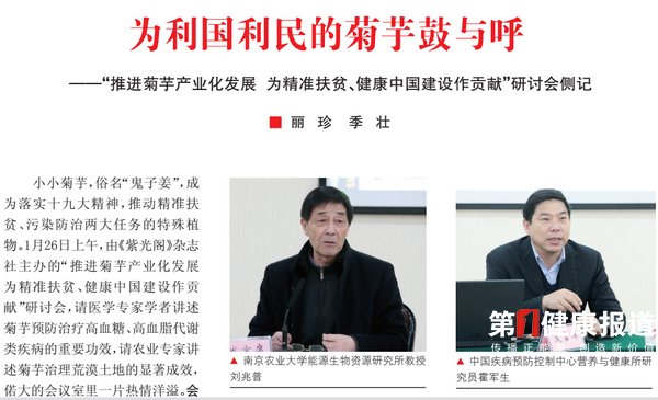 紫光阁杂志刊文 慢病有救啦 菊芋产业大有可为