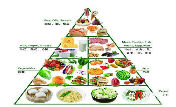 饮食结构.jpg