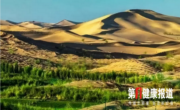 “库布其精神”唱响新时代绿色赞歌