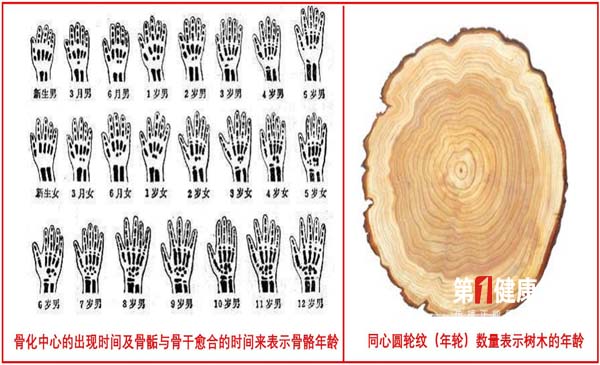 未标题-4.jpg