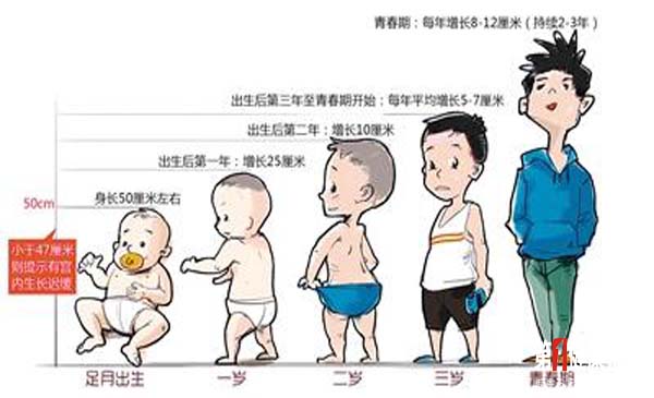 未标题-7.jpg