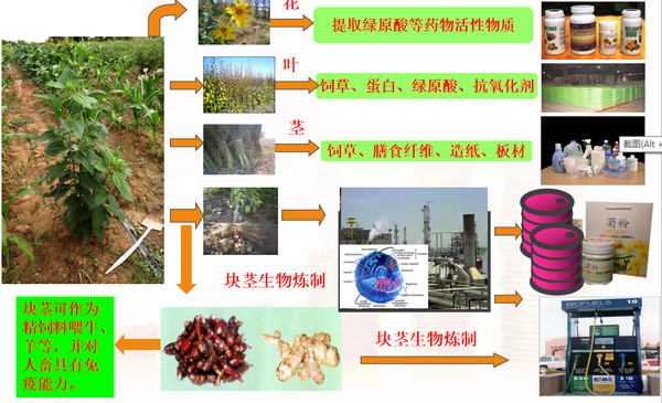 微信图片_20190218151620.png