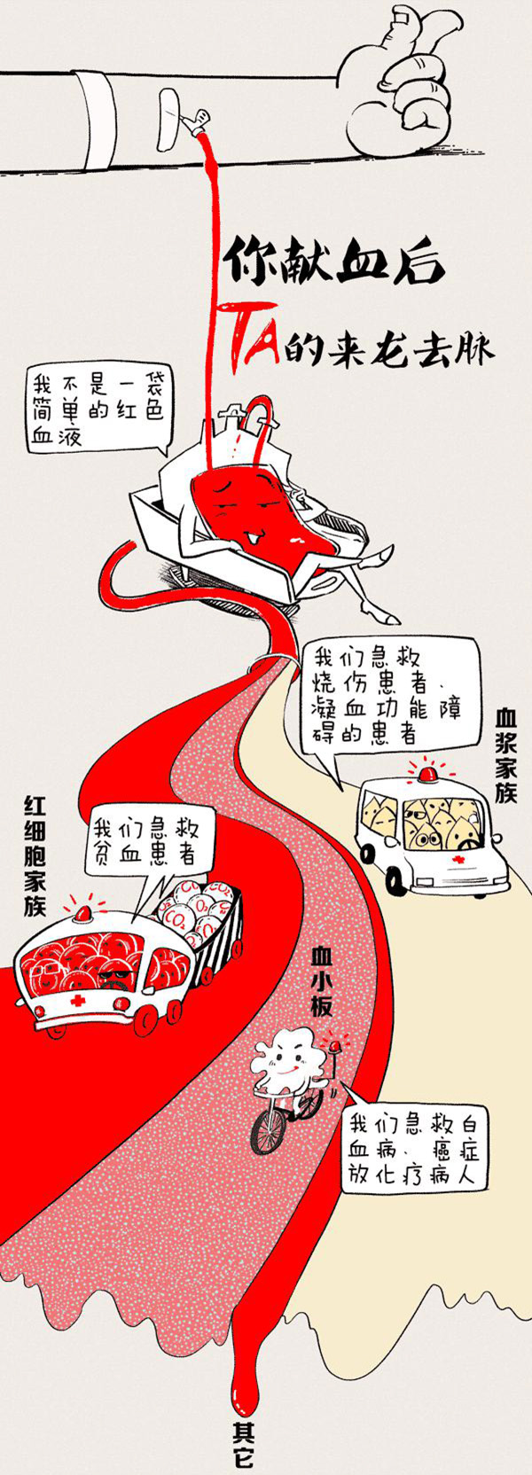 图解 你的献血哪去了？