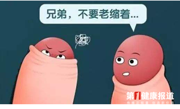 包茎|假期到 要掀开小牛牛的盖头啦
