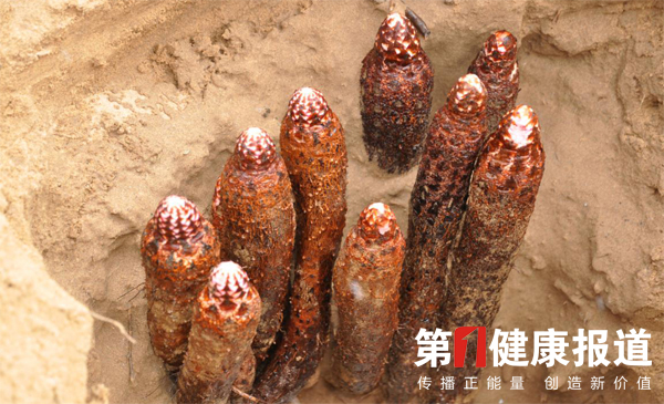 未标题-1.jpg