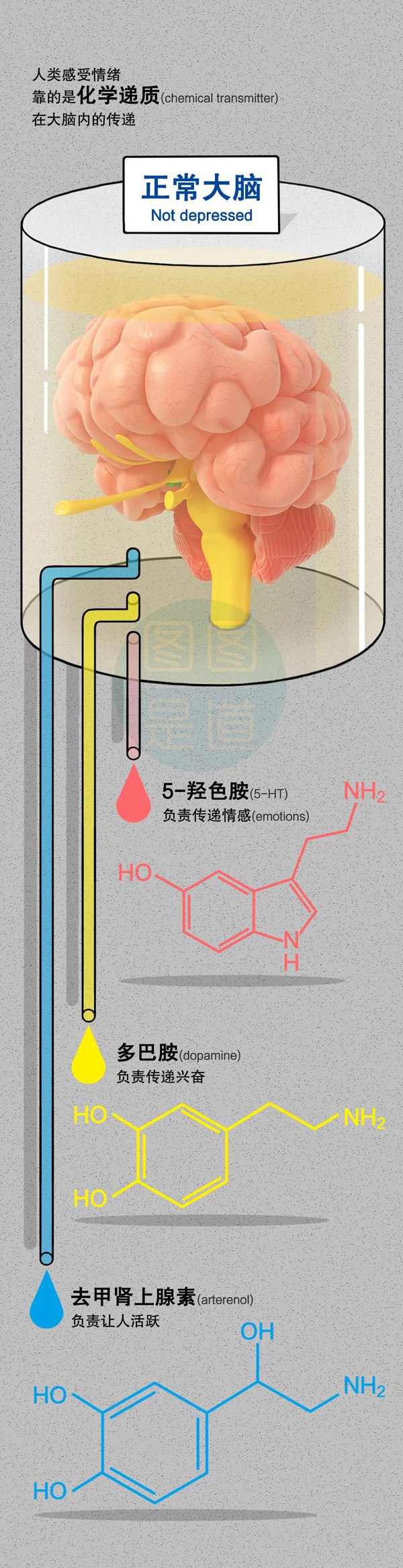 图6.png