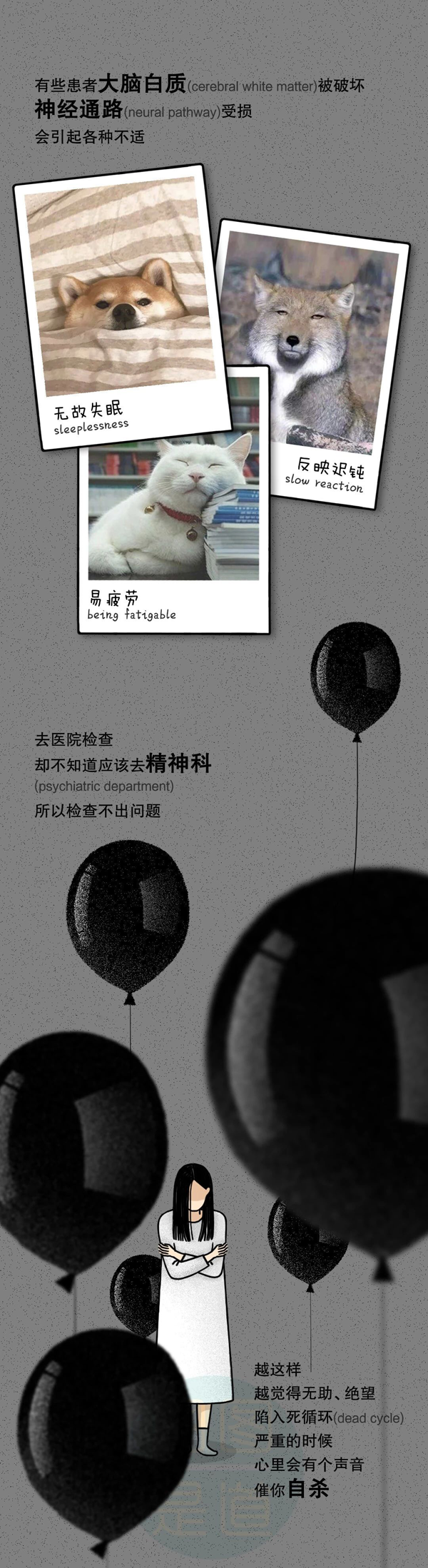 图8.png