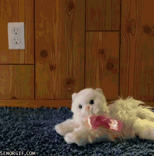 微信图片_20191018141503.gif