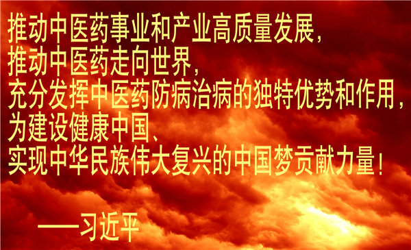 吕嘉戈：学习习近平中医思想 守正创新迎接春天