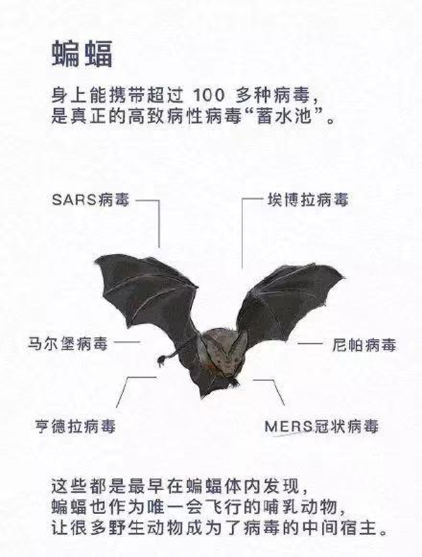 微信图片_20200129143533.png