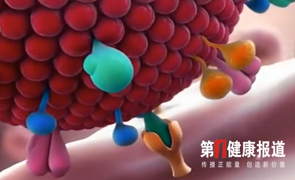 微信图片_20200305195557.png
