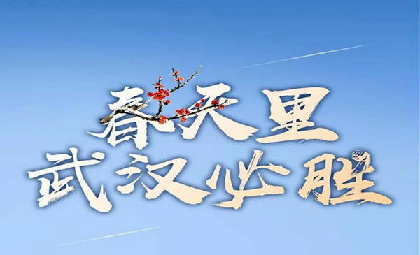 习近平抵武汉考察新冠肺炎疫情防控工作