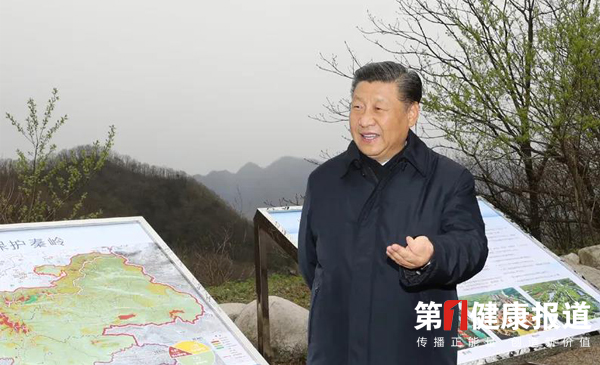 昔日的沙窝 今日变绿洲 习近平生态文明思想指方向