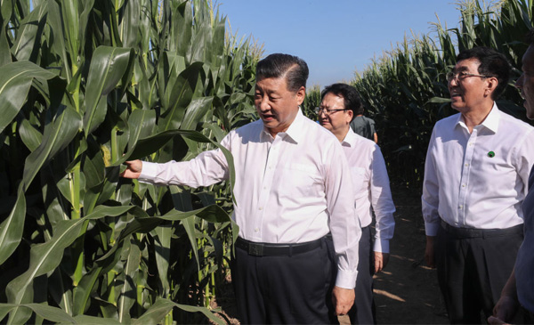 这件事为何成为总书记心中的“永恒课题”