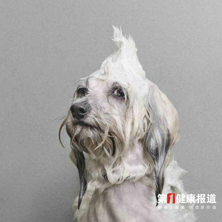 微信图片_20210301183929.jpg
