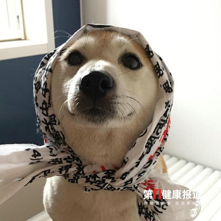 微信图片_20210301183948.jpg