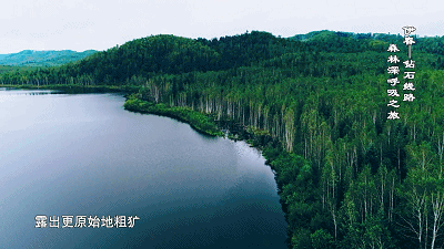 微信图片_20210319142938.gif