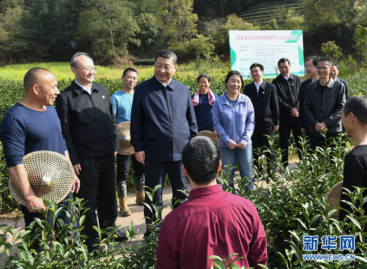 习近平：做好茶文化、茶产业、茶科技这篇大文章