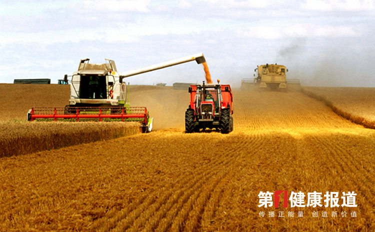 高标准造良田，端牢“中国饭碗”