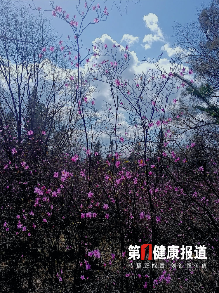 24270f5a50bf6d5fac14c0b6fa6d85c.jpg