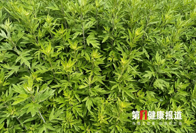 微信图片_20210615105409.jpg
