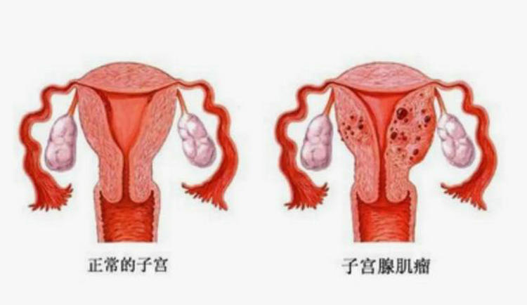 微信图片_20210803162634.jpg