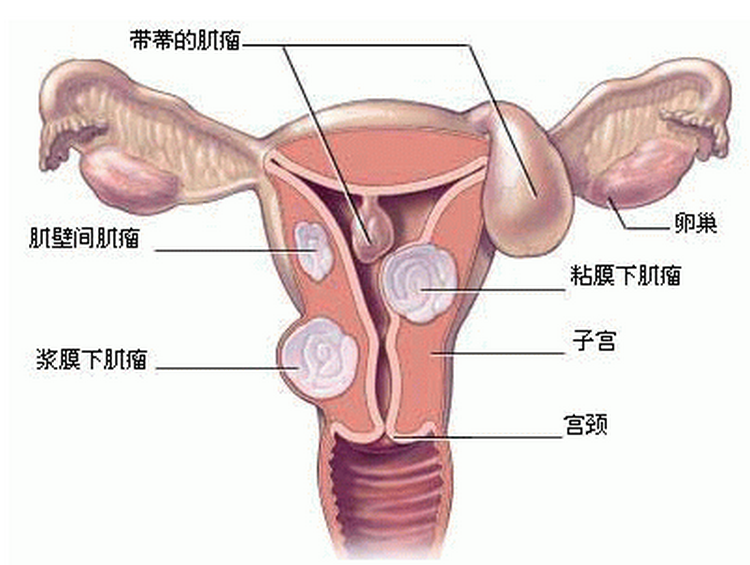 微信图片_20210803164754.png