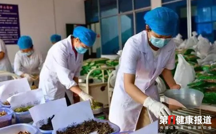 人民之声:中医药在两次抗疫中的卓越表现