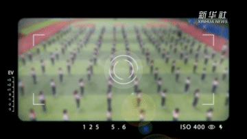 5.gif