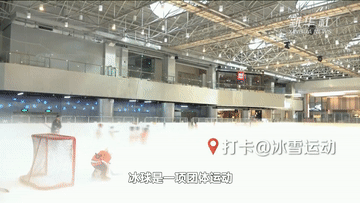 6.gif