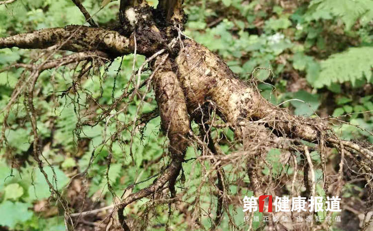 微信图片_20210830144914.jpg