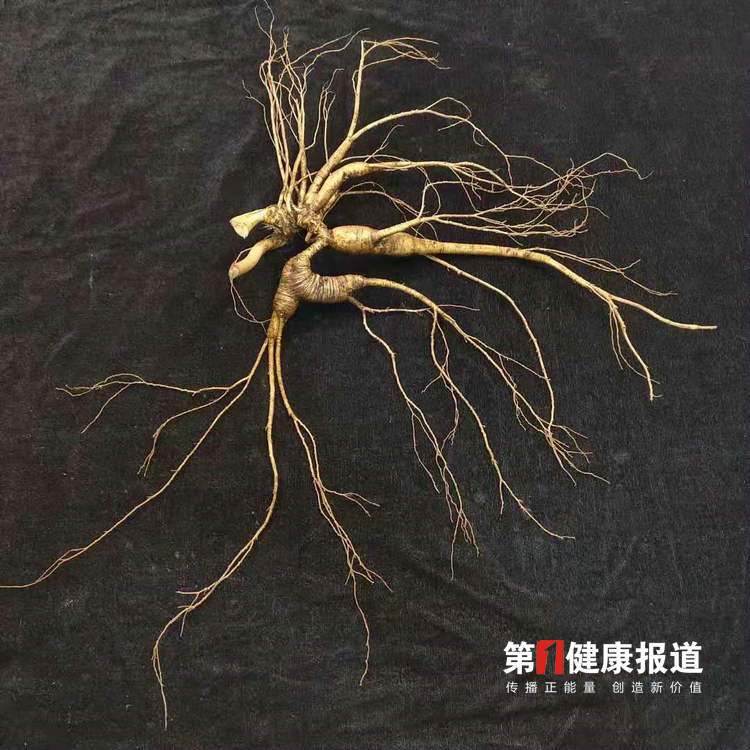 微信图片_20210830144941.jpg