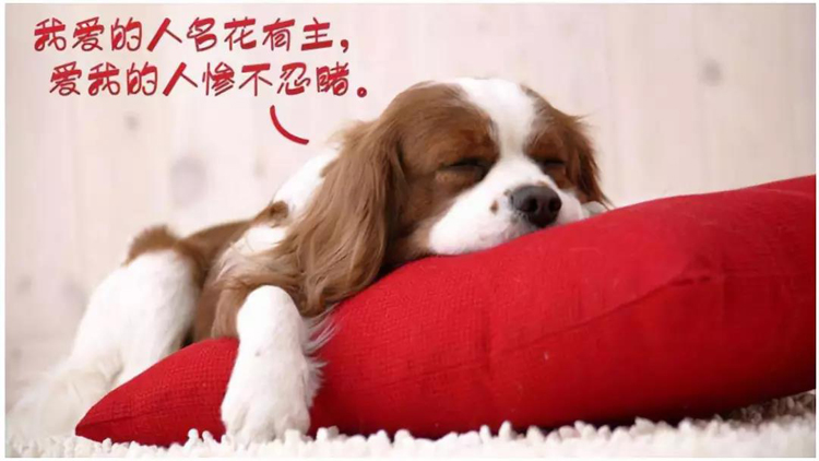 微信图片_20211110230641.jpg