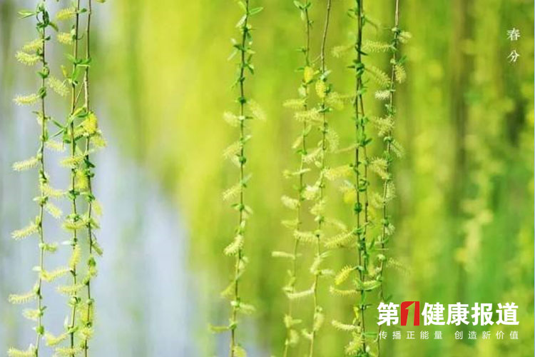 春分防寒保暖，饮食有方避免湿热