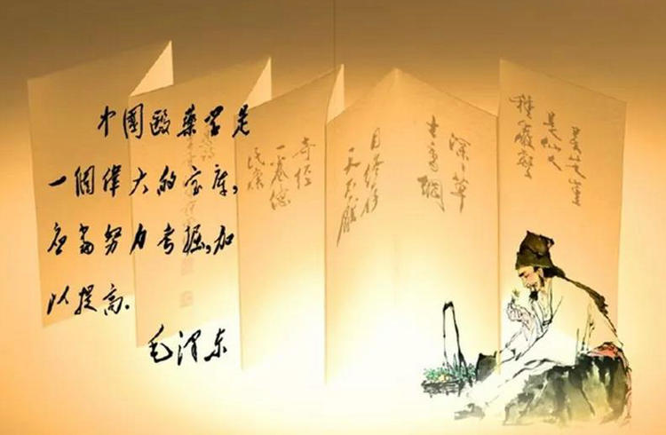 林治波：关于中医药发展的十五条建议
