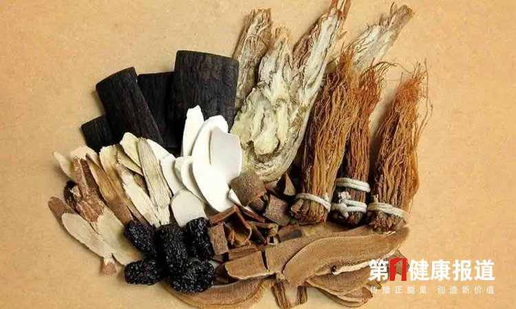天地人和大好时机：众专家畅谈中医药十四五发展规划