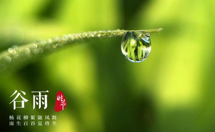 节气养生：谷雨养生做这仨运动