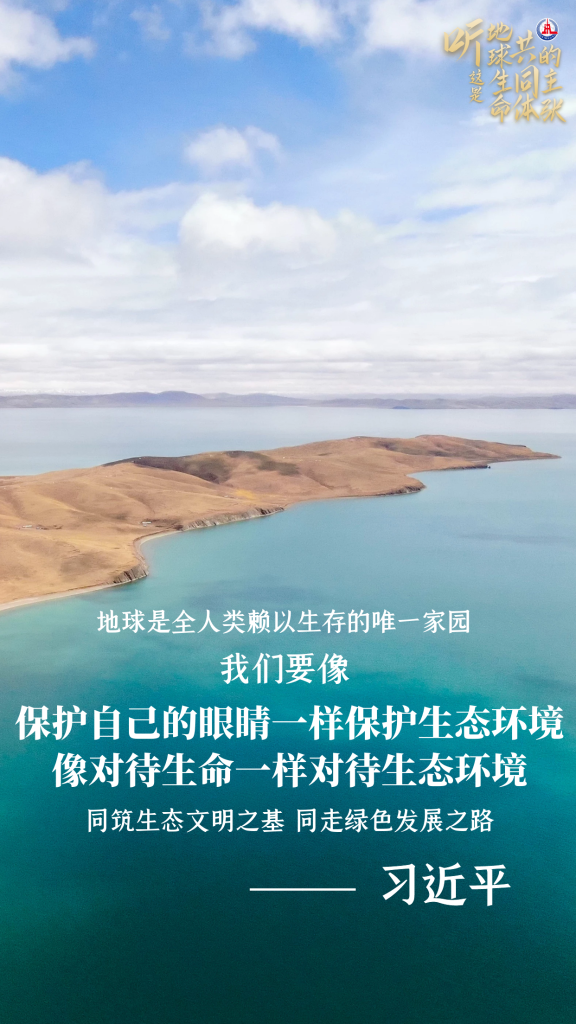 1650605086148819.png