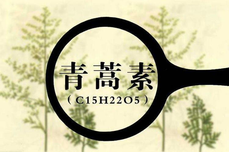 李慎明:青蒿素发明是毛泽东关于中医药思想与屠呦呦及其大团队实践的结果