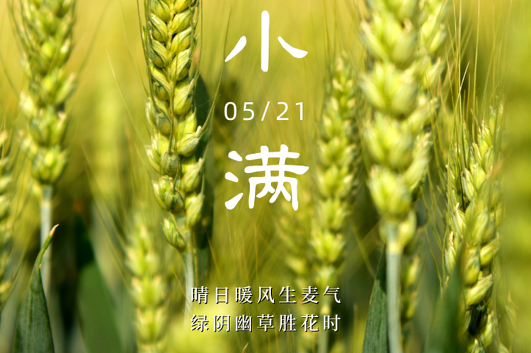小满时节，注意这几点让你元气满满