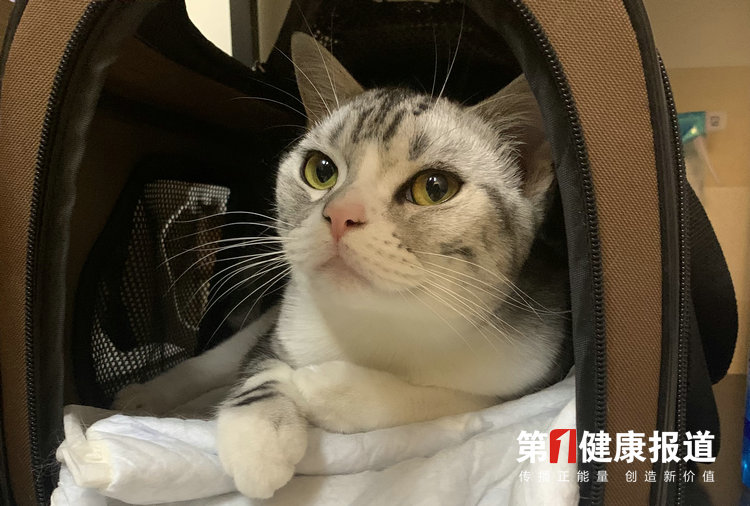 微信图片_20220601135844.jpg