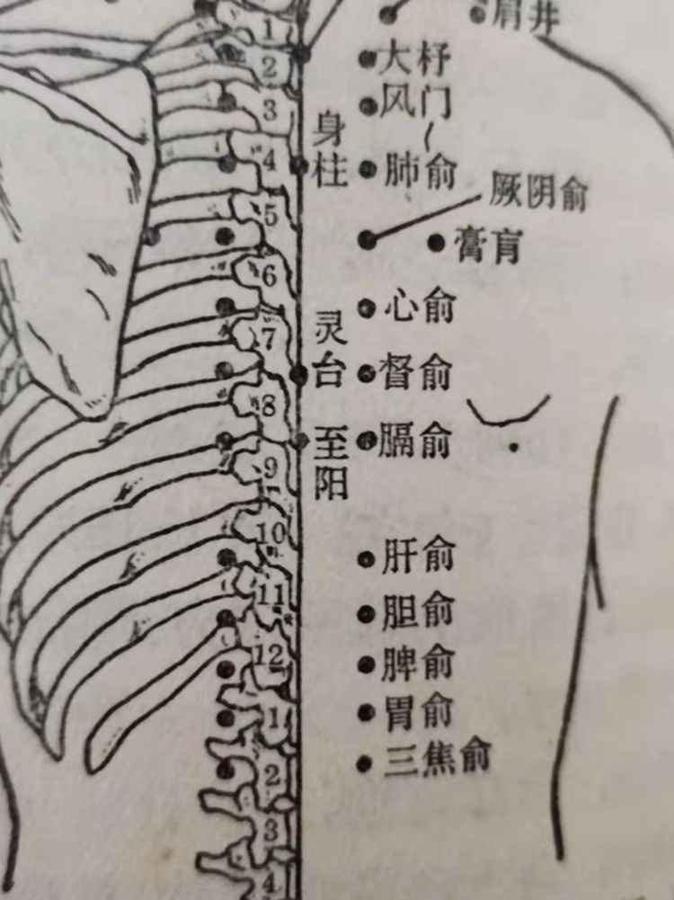 健康人才榜|韩礼：论中医异病同方治疗及其辩证关系.jpg