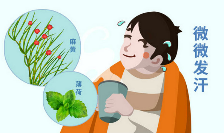 谈谈莲花清瘟作为感冒药的优势