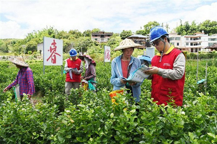 深化“阳光业扩”平台应用 让办电更便捷
