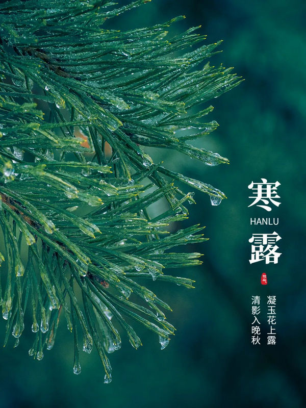 微信图片_20221008165255.jpg
